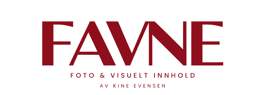 FAVNE – foto & visuelt innhold av Kine Evensen